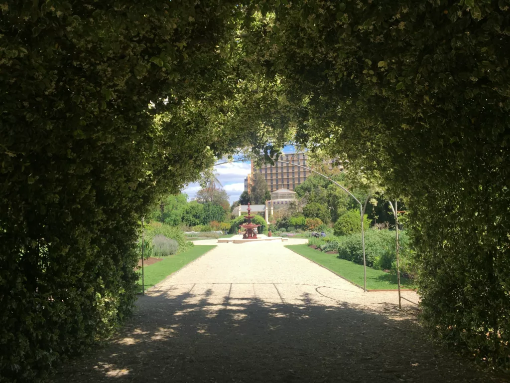 Botanisk hage i Adelaide, Australia