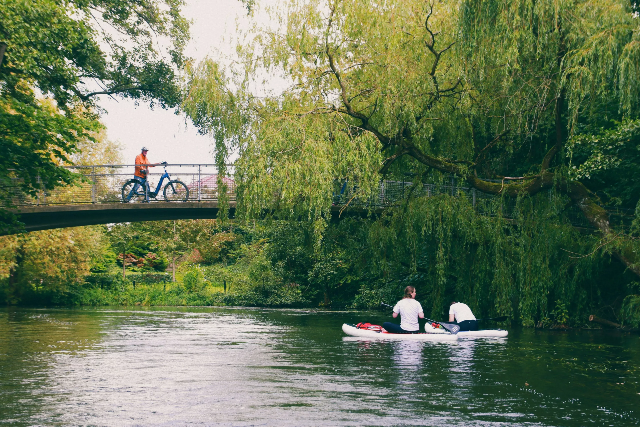 Folk padler på en elv med en bro omgitt av grønne trær i Odense