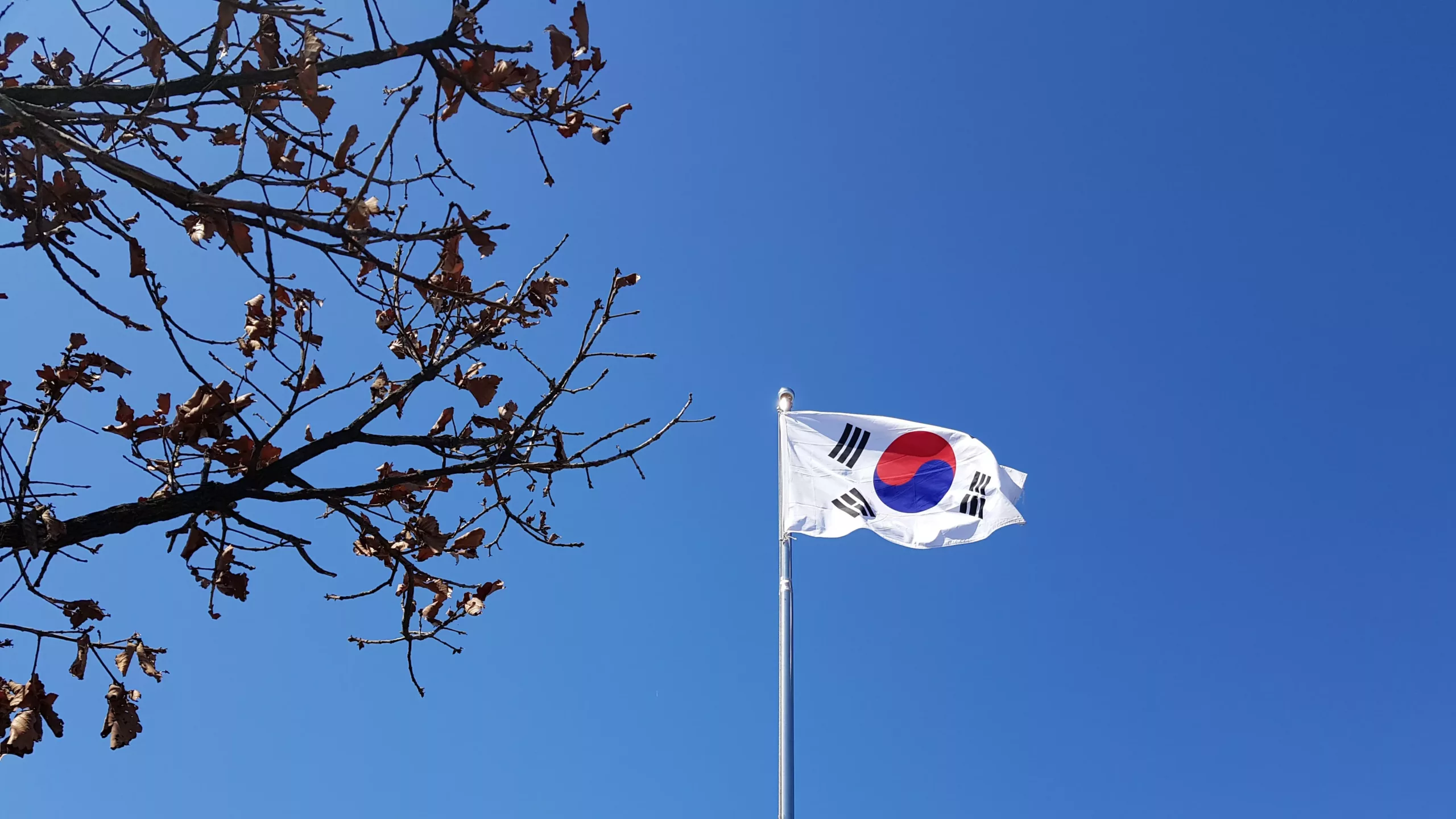 Flagget til Sør-Korea foran en blå himmel